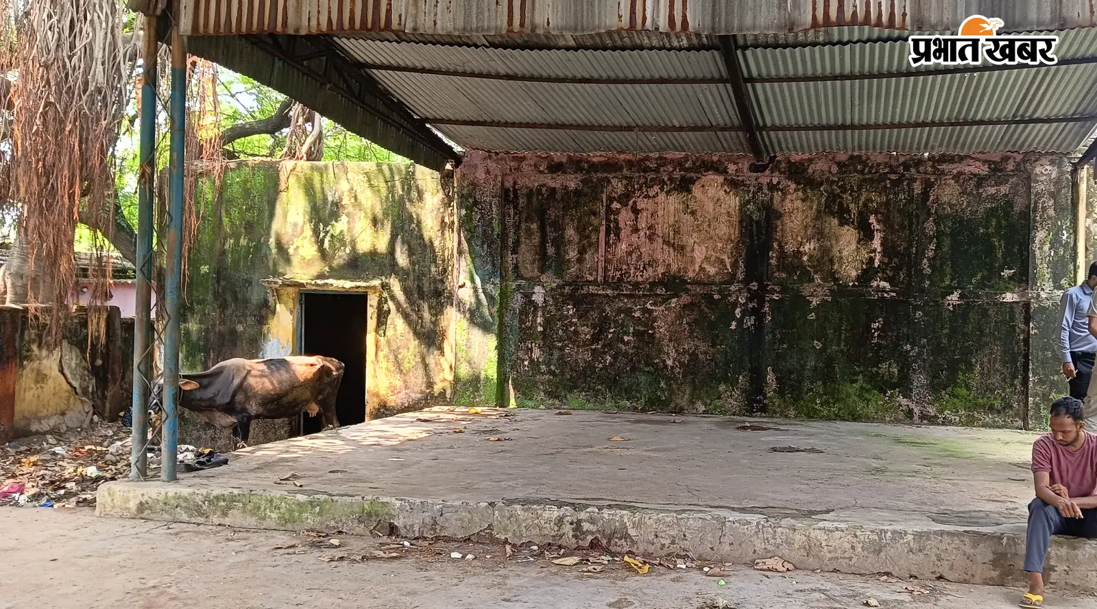 कभी जहां सजती थीं सांस्कृतिक शामें, आज वहां पसरती है गंदगी; जानिए बीसीसीएल बरोरा के नेहरू क्लब का पूरा सच