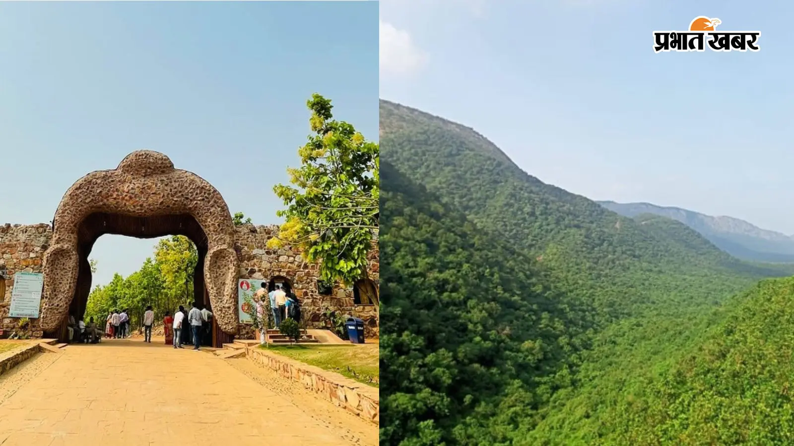 राजगीर में अब होटल नहीं, जंगल के बीच कॉटेज में ठहरेंगे सैलानी, इको-रिसॉर्ट की तैयारी तेज