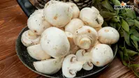 मशरूम जल्दी खराब हो जाते हैं? ऐसे रखें लंबे समय तक फ्रेश