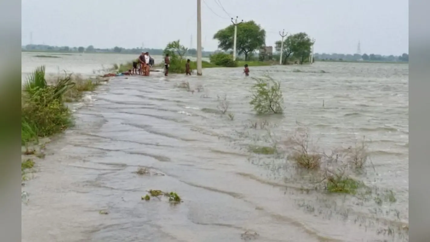 बाढ़ से वैशाली में 8456 हेक्टेयर फसल प्रभावित, राघोपुर में सबसे अधिक नुकसान