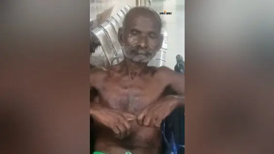 तमाड़ में मवेशी चरा रहे चरवाहे पर जंगली हाथी का हमला, सूंढ़ से लपेटकर जमीन पर पटका; भागकर बचायी जान