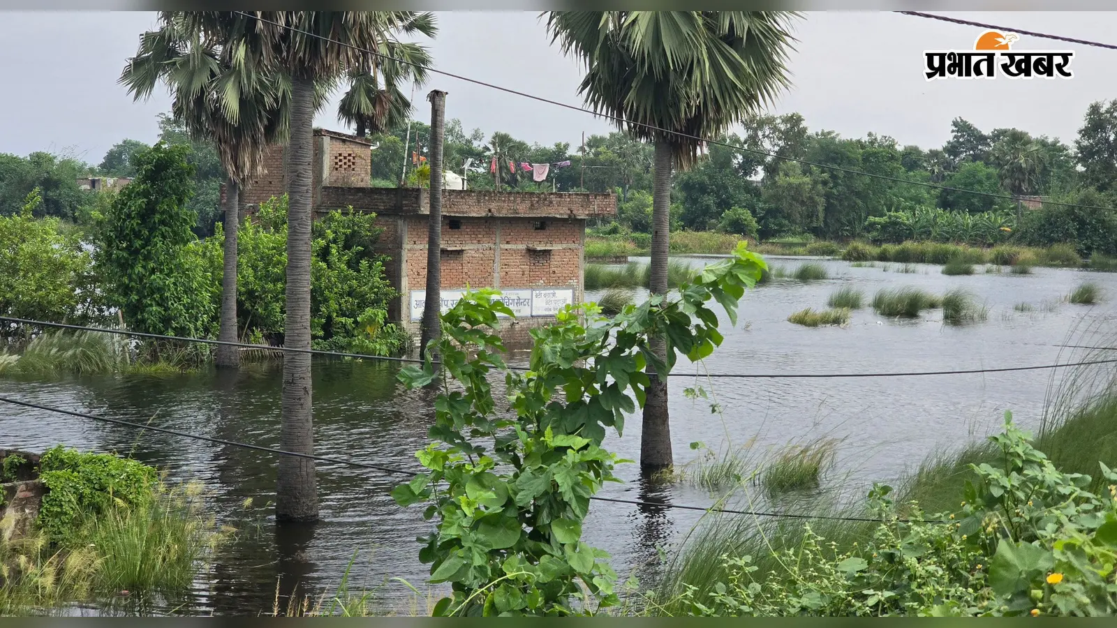हाजीपुर में बाढ़ से 8,456 हेक्टेयर फसल प्रभावित, 23 से 29 सितंबर तक किसान करें ऑनलाइन आवेदन