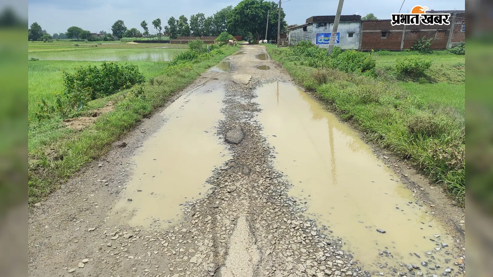 चार साल में ही जर्जर हुई सदाफर-नवादा सड़क, गड्ढों से आवागमन मुश्किल