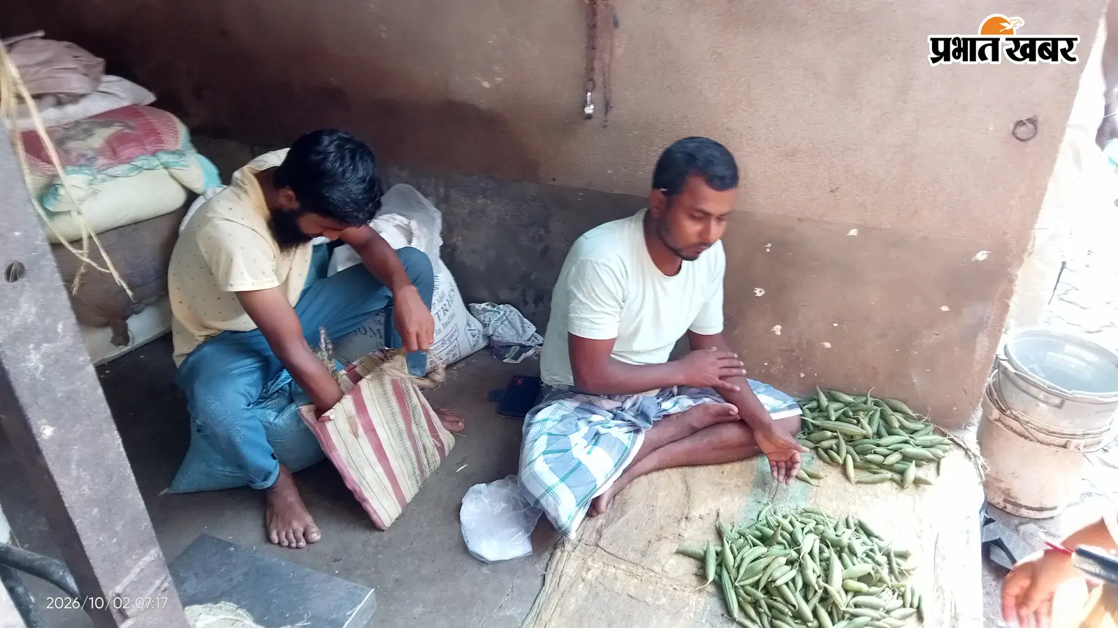 पाकुड़ में जिउतिया पर्व को लेकर बाजारों में रौनक : सतपुतिया तीन दिन में 40 से 800 रुपये किलो पहुंची कीमत