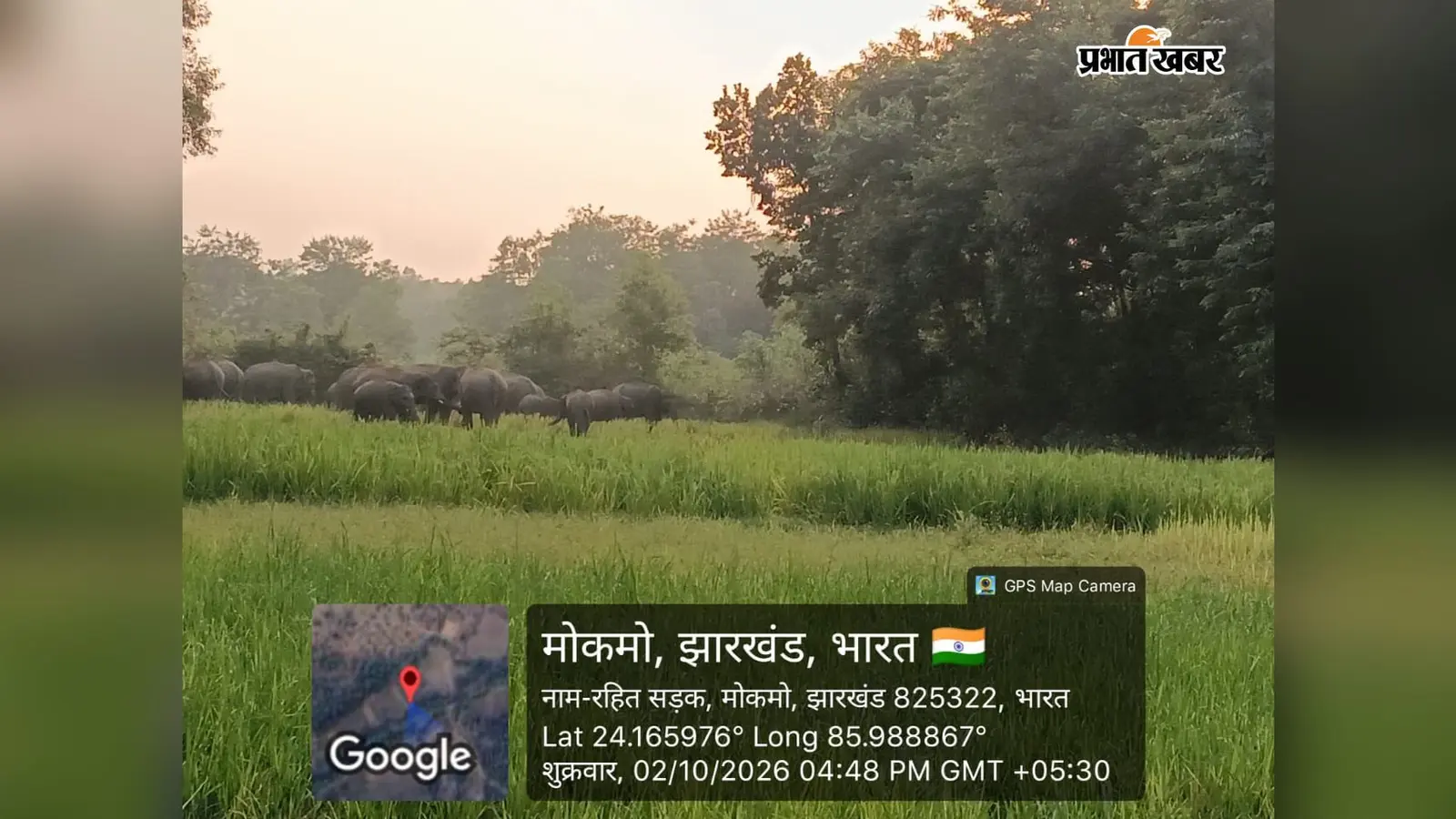 सरिया में 31 हाथियों ने मचाया उत्पात, स्कूल की चहारदीवारी तोड़ी, खेतों में पहुंचकर फसल रौंदी