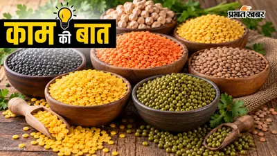 कौन-सी दाल सबसे ज्यादा हेल्दी? डॉक्टर की रेटिंग में मूंग दाल नंबर-1, जानिए किस दाल को मिले कितने नंबर