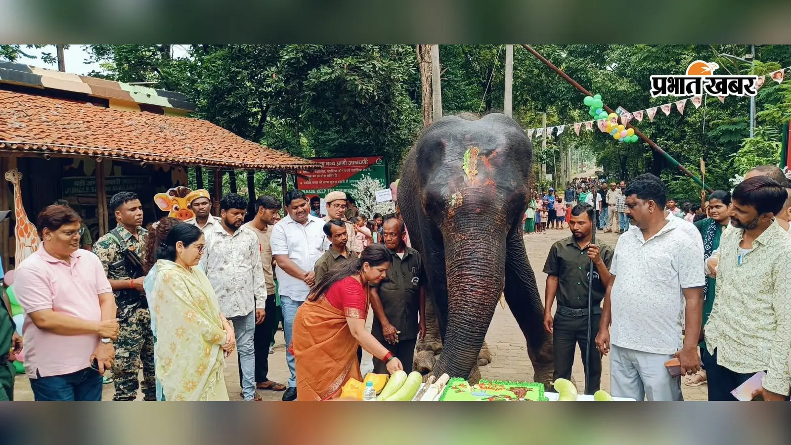 दलमा वाइल्ड लाइफ सेंचुरी में रजनी और नन्हा हाथी बादल का मना जन्मदिन, कटा इतने पाउंड का केक..देखें विडिओ