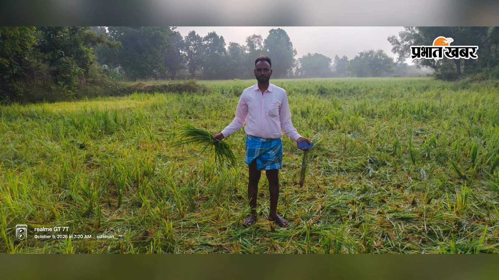 मरकच्चो में हाथियों के झुंड ने तीन एकड़ धान की फसल रौंदी, किसानों को भारी नुकसान