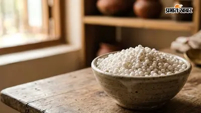नवरात्रि में साबूदाना खूब खाते हैं? एक्सपर्ट बोले- ये बस स्टार्च है, जानें व्रत में क्या खाना होगा बेहतर