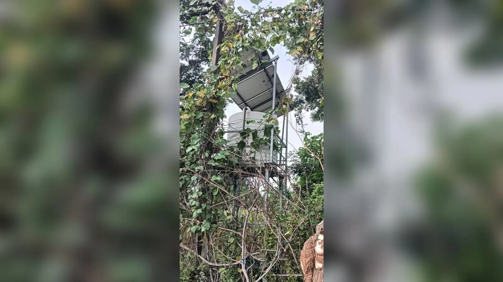 गिद्धौर के यादव टोला में जलमीनार खराब, ग्रामीण परेशान