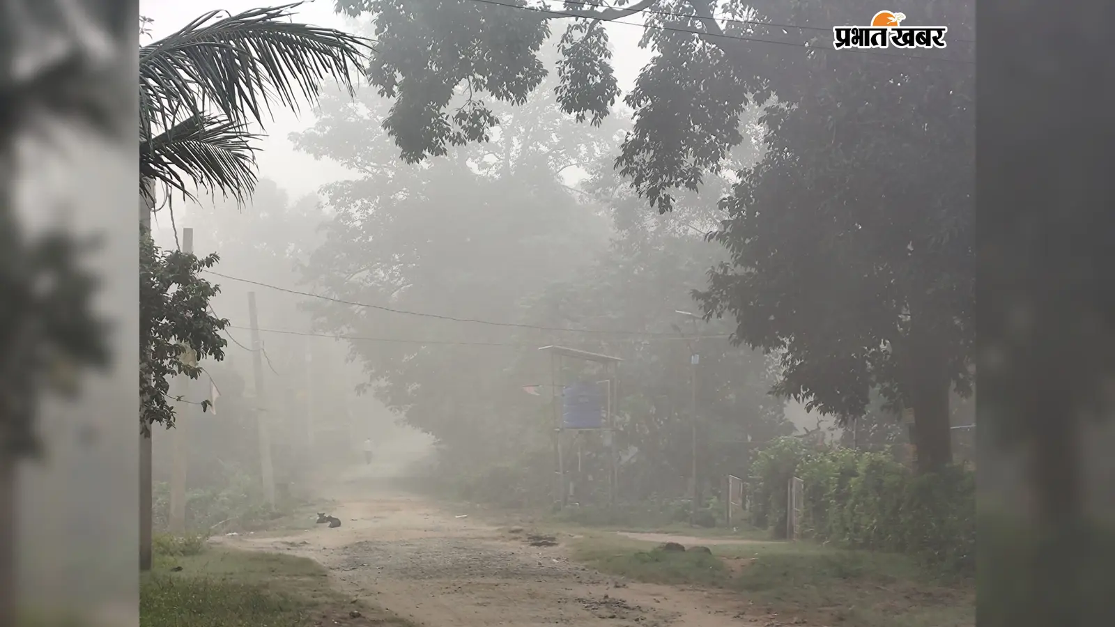 पतरातू घाटी में घने कुहासे का कहर, सड़कों पर विजिबिलिटी घटी; हादसे का खतरा बढ़ा