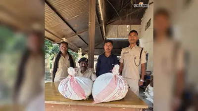 मधुबनी में नशे के कारोबार पर कार्रवाई, 11 किलो गांजा और 93.5 लीटर शराब के साथ 3 तस्कर गिरफ्तार