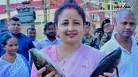 हाथों में मछली और चेहरे पर मुस्कान...गांव में कुछ इस अंदाज में दिखीं कल्पना सोरेन, देखें तस्वीरें