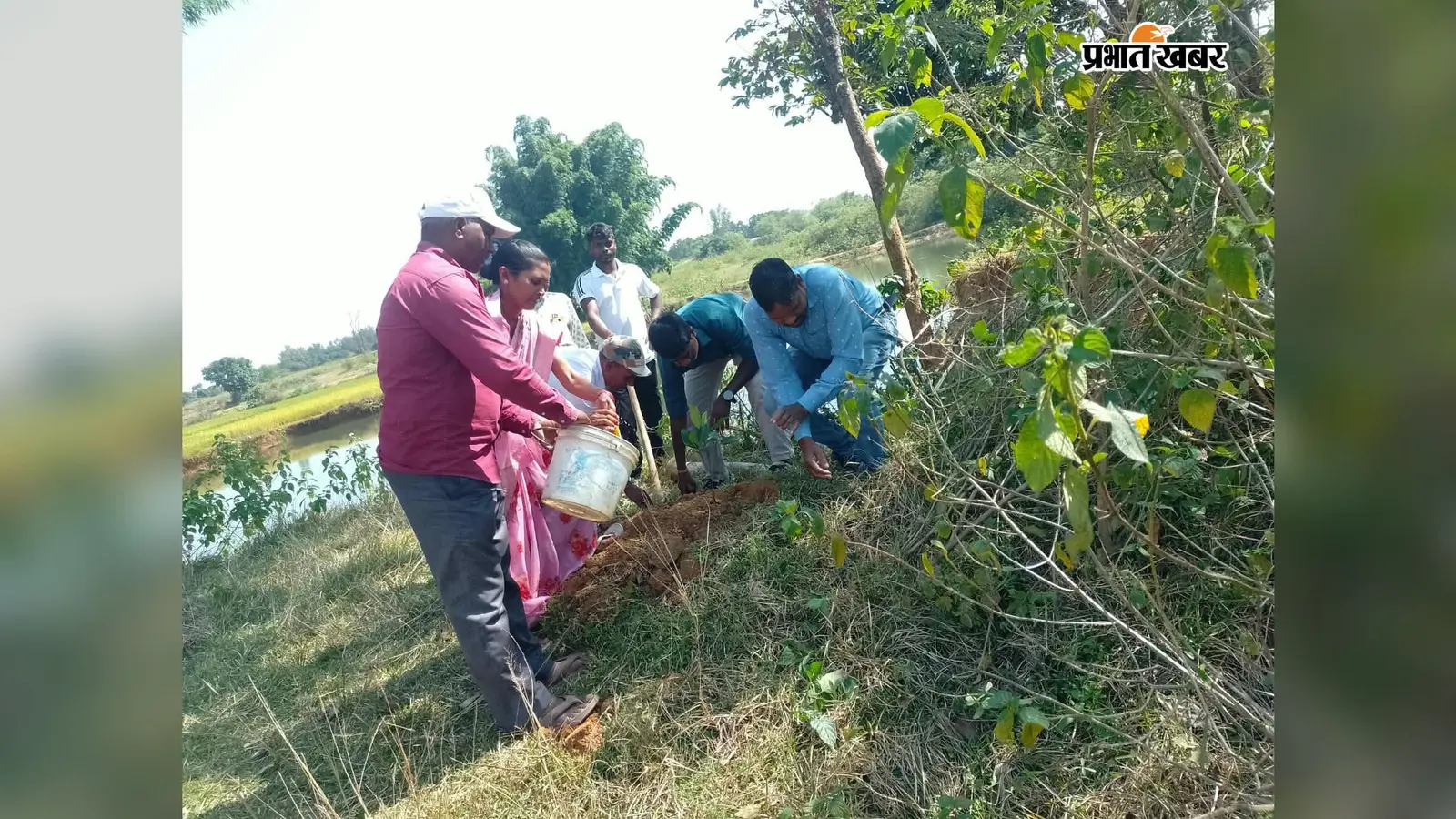 लोहरदगा: अमृत सरोवर के किनारे लगाये गये फलदार और छायादार पौधे, हरियाली बचाने का लिया संकल्प