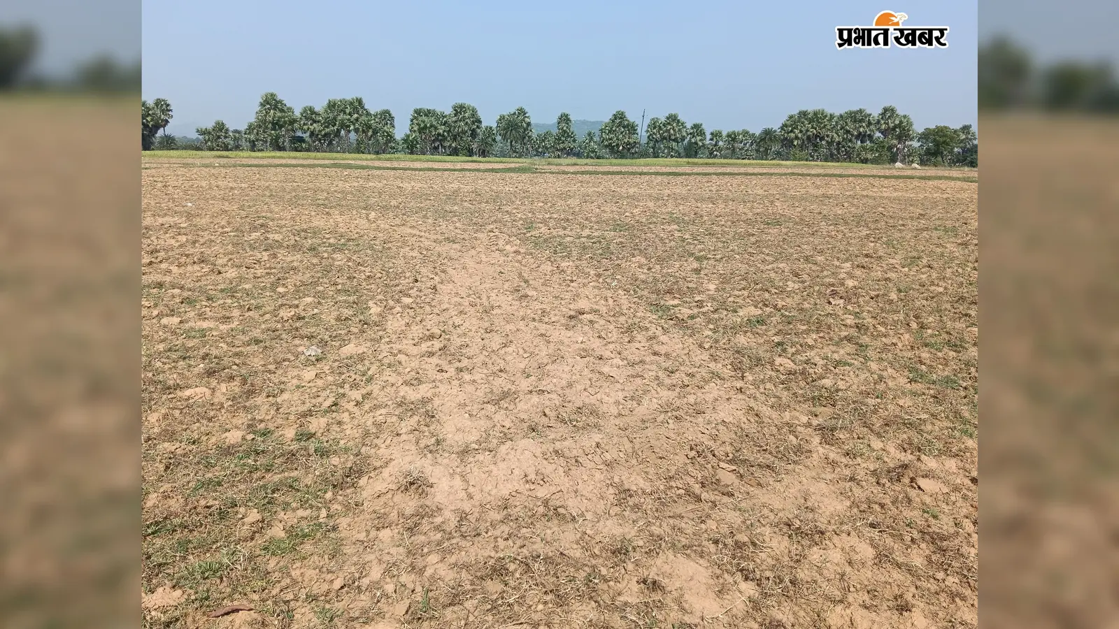 सरसों की खेती में जुटे रानीश्वर के किसान, सरकारी बीज का अब भी इंतजार