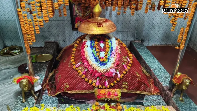 Photos : बिहटा में मां वनदेवी का 27वां वार्षिकोत्सव, रातभर चला जागरण, भक्ति गीतों पर झूमे श्रद्धालु