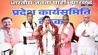 झारखंड में सियासी हलचल के बीच वायरल हुई खूबसूरत तस्वीर, नन्हीं बच्ची को गोद में लेकर रवाना हुए नितिन नवीन