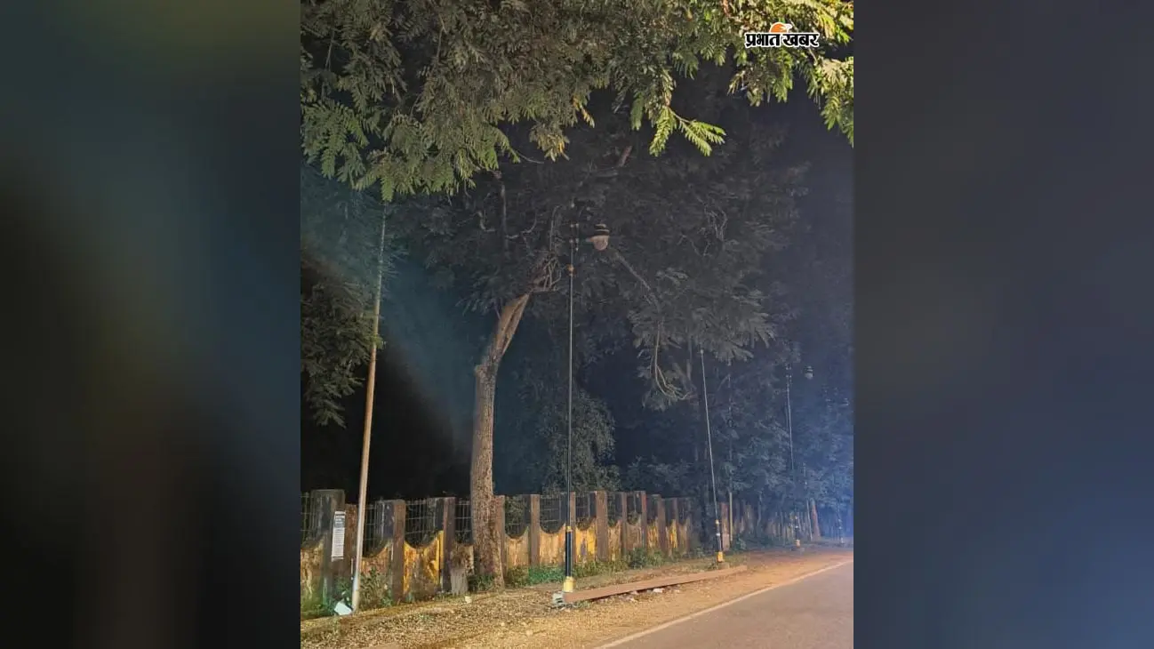 पर्यटकों से गुलजार Betla National Park में शाम के बाद क्यों छाता है अंधेरा? लाइटें फिर खराब