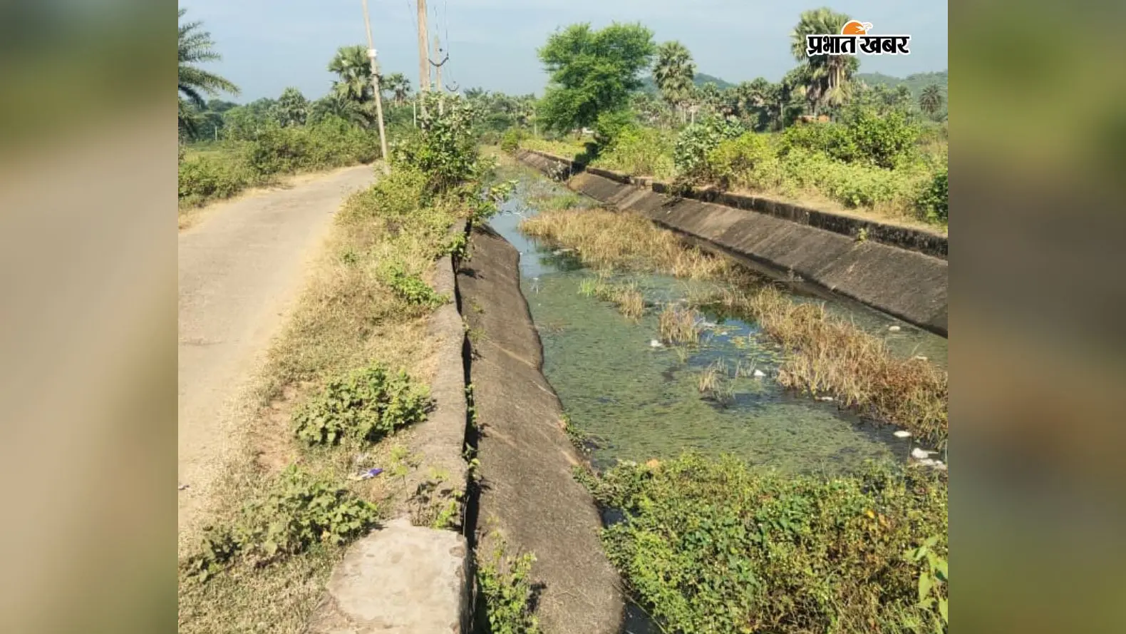 सूख रही थी धान की फसल, खबर छपते ही दिगलपहाड़ी डैम से नहर में छोड़ा पानी