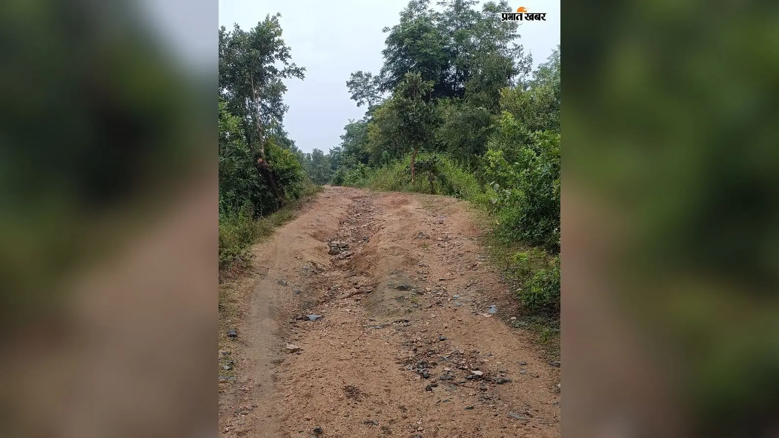 गड्ढे, बिखरे बोल्डर और रास्ते में जमा पानी, चतरा के इस गांव में सड़क बनी मुसीबत