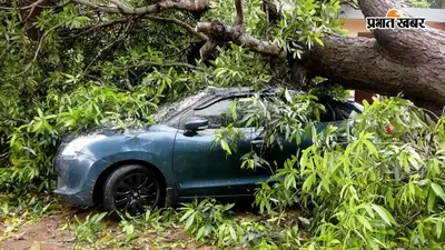 Cyclone Arnab Updates: कमजोर पड़ा 'अर्नब', 7 किमी/घंटा की धीमी रफ्तार से आगे बढ़ा चक्रवात, आज रात तक बनेगा 'डीप डिप्रेशन'