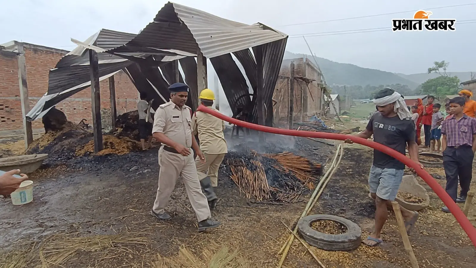 11 हजार वोल्ट के तार से चारे के गोदाम में लगी आग, कई पशु जख्मी; 80 हजार का नुकसान