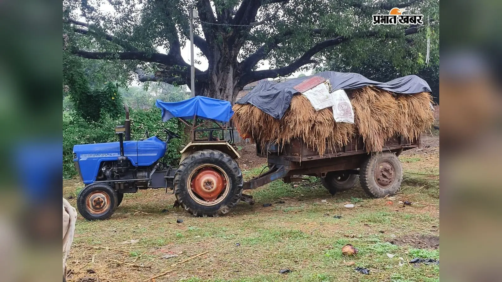 अर्नब तूफान की बारिश ने किसानों की तोड़ी कमर, सैकड़ों एकड़ में धान की फसल बर्बाद