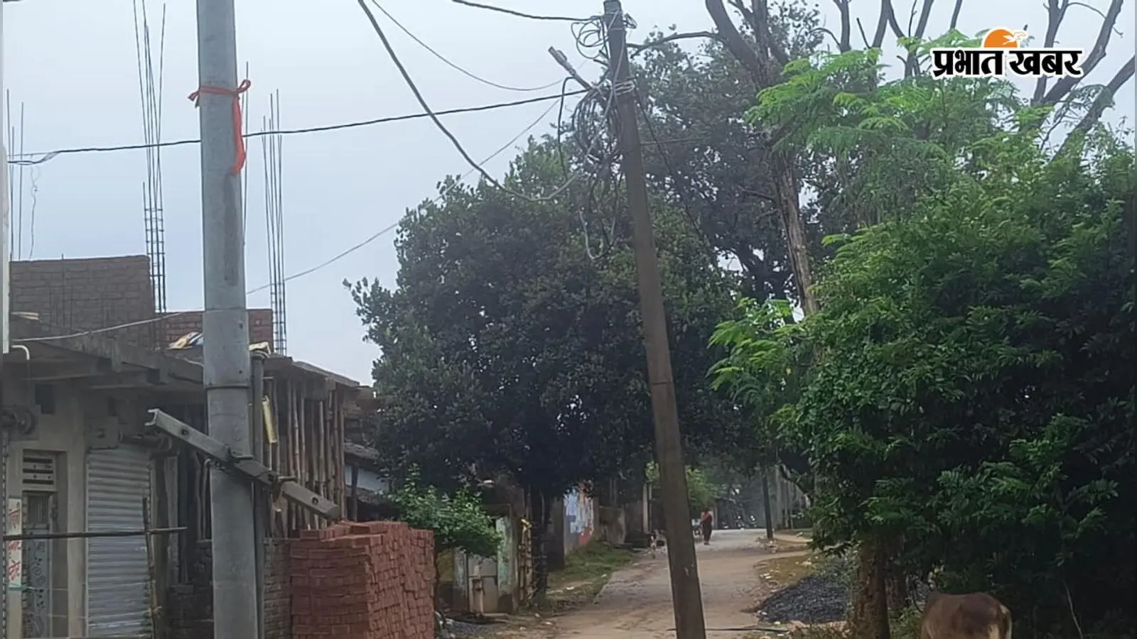 चक्रवात 'अर्णव' के असर से लातेहार के गारू में बढ़ी ठंड, स्कूल-कॉलेज बंद, किसान परेशान