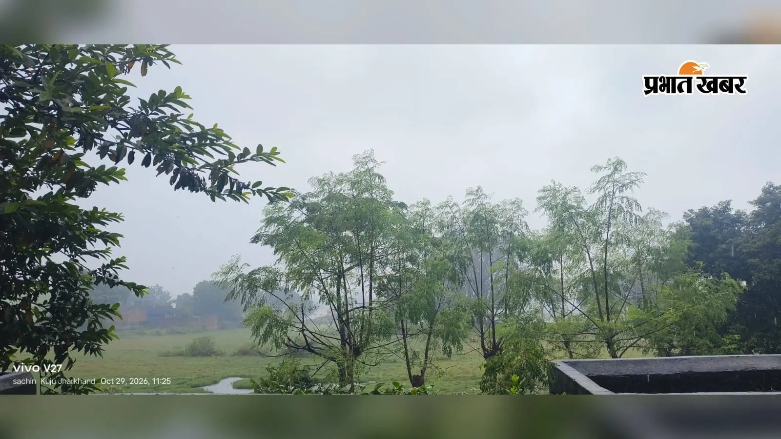 कुजू में बारिश का कहर! ठंड से घरों में दुबके लोग, धान की फसल पर मंडराया खतरा