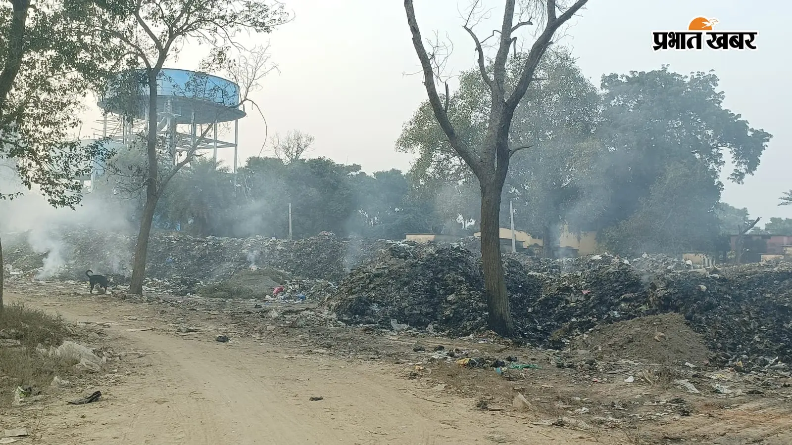 हरिहरगंज नगर पंचायत कार्यालय के बगल में कचरे का अंबार, दुर्गंध और प्रदूषण से लोग परेशान