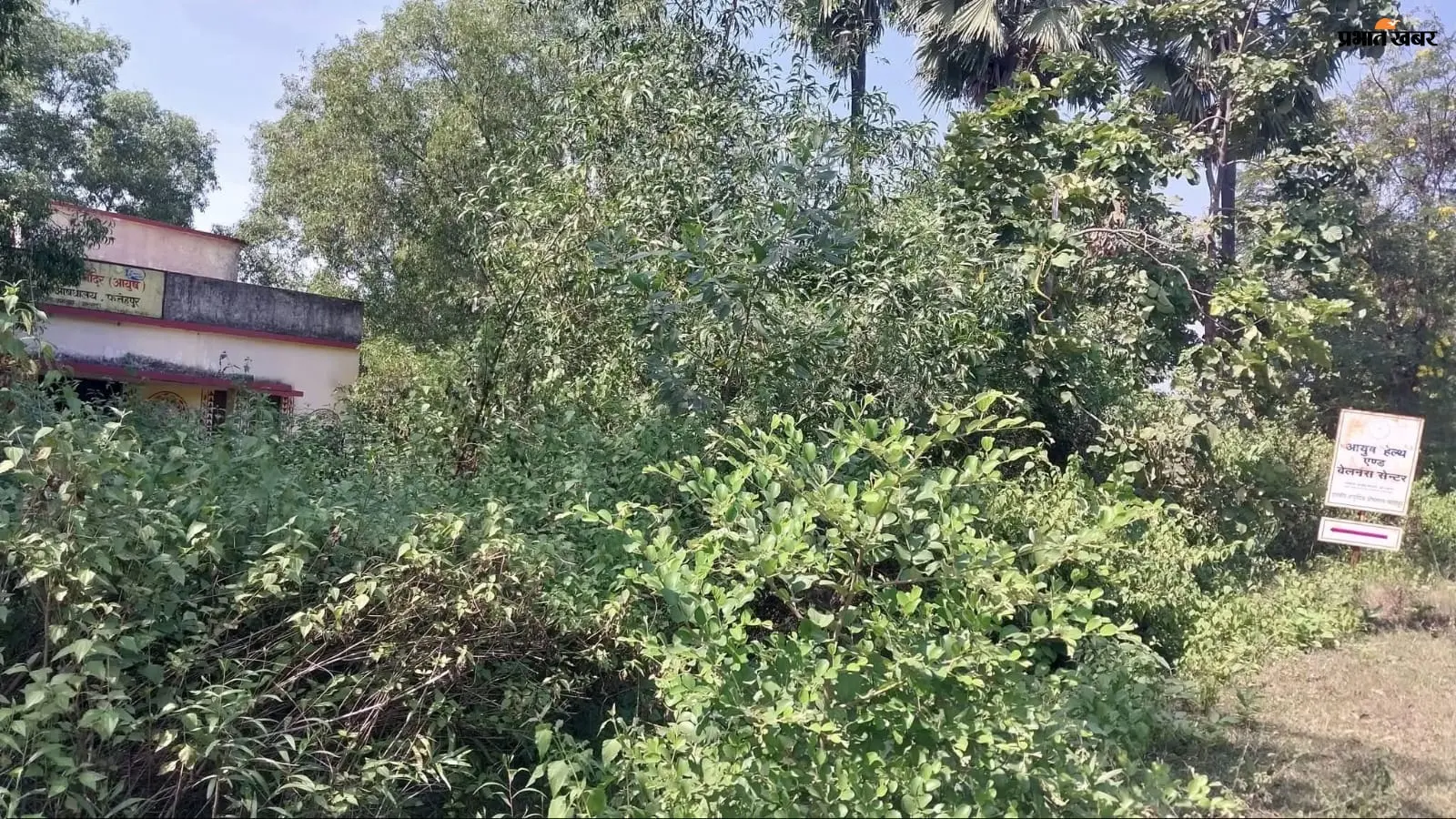 झाड़ियों में घिरा खिजुरिया आयुष हेल्थ सेंटर, बिजली-पानी और सड़क तक की सुविधा नहीं