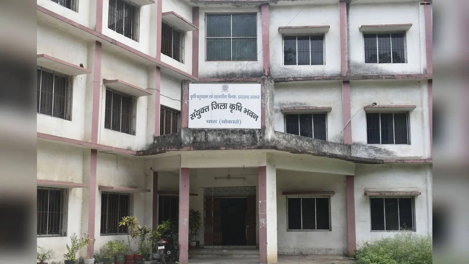 बोकारो के किसानों के लिए बड़ी खबर: अगले सप्ताह से आधे से भी कम कीमत पर मिलेंगे रबी फसलों के उन्नत बीज