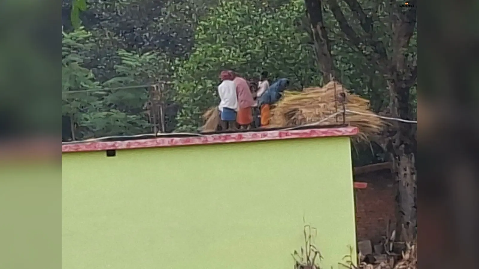 बारिश: कर्ज लेकर खेती करने वाले जमुआ के किसानों पर टूटा कुदरत का मार, प्रशासन से मदद की मांग