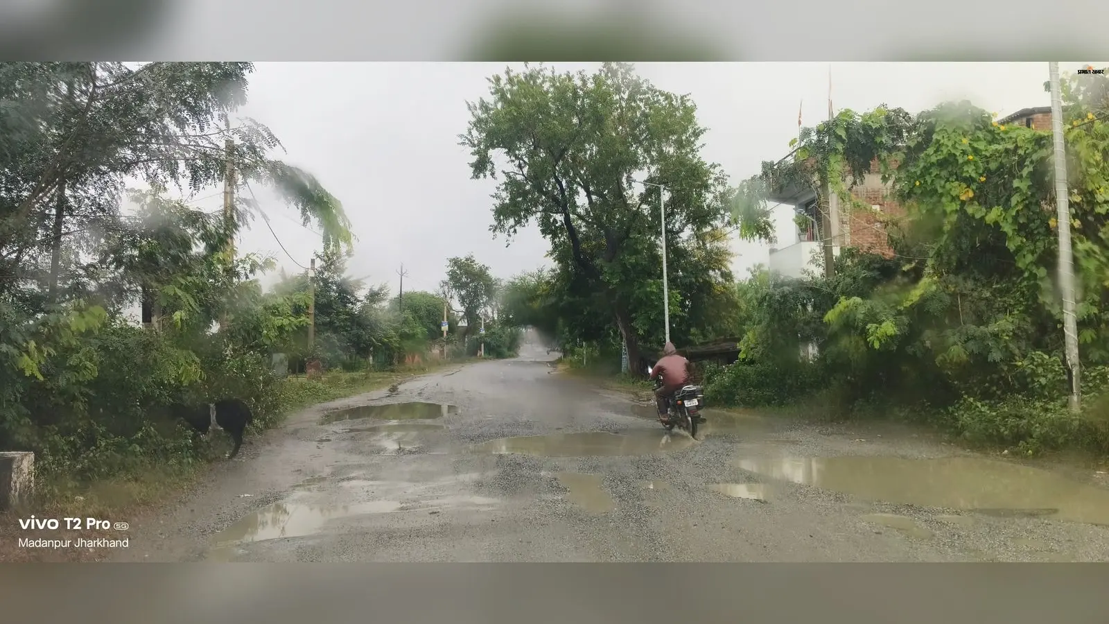 पलामू में जपला-छतरपुर मुख्य सड़क जर्जर, जगह-जगह बने गड्ढों से बढ़ा हादसों का खतरा