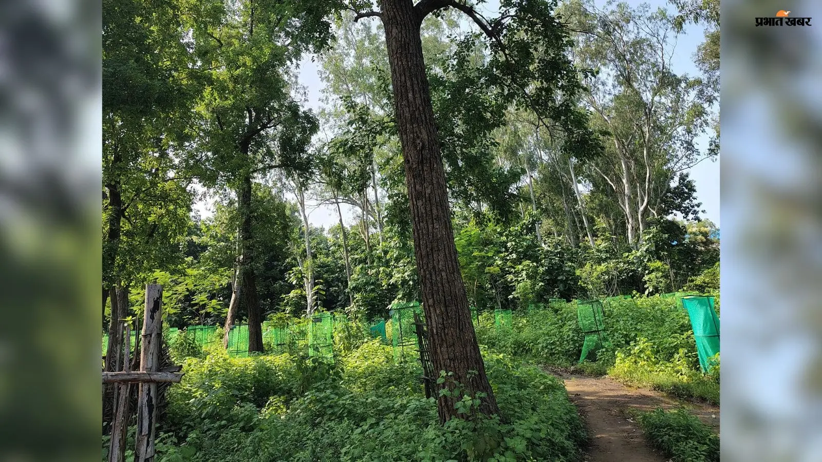 पलामू के GLA कॉलेज में 10 करोड़ से बनेगा महिला छात्रावास, निर्माण से पहले पेड़ों की कटाई पर विवाद