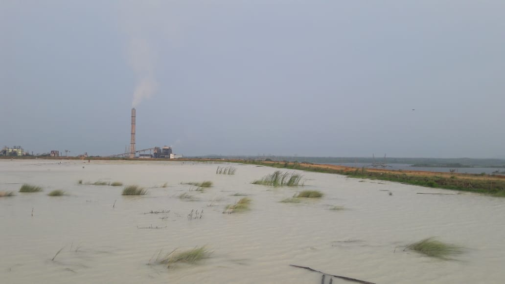 undefined