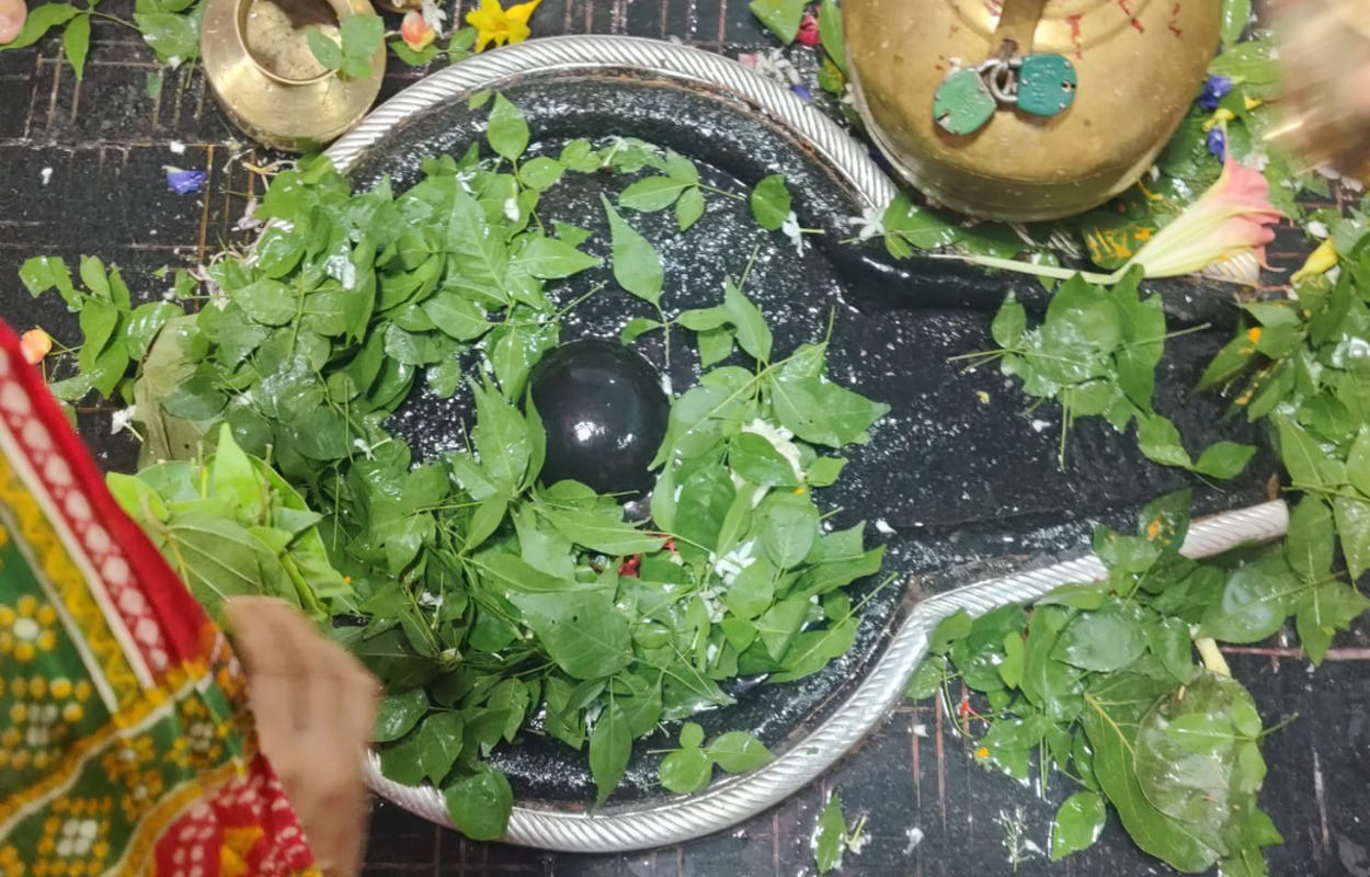 Sawan Shivratri 2021: शिव अनादि है, शिव भगवंत है, सावन शिवरात्रि पर अपनों संग शेयर करें ये शुभकामना संदेश