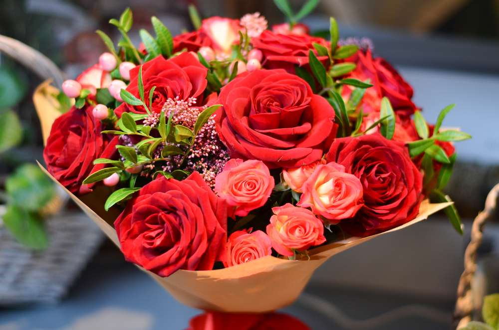 Happy Rose Day 2021 Wishes, Images, Quotes, Shayari, Messages, Status: दिखती हैं हीर की तरह..दिल में चुभती हैं तीर की तरह...रोज डे पर अपने क्रश को भेजें शायरी, मैसेज, स्टेट्स