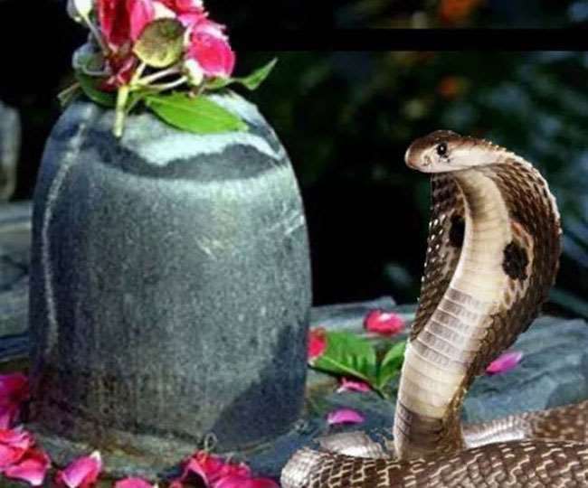 Nag Panchami 2021: भगवान विष्णु का शेषनाग सिंहासन...'नाग पंचमी' पर अपनों को यहां से भेजे ढेर सारी शुभकामनाएं