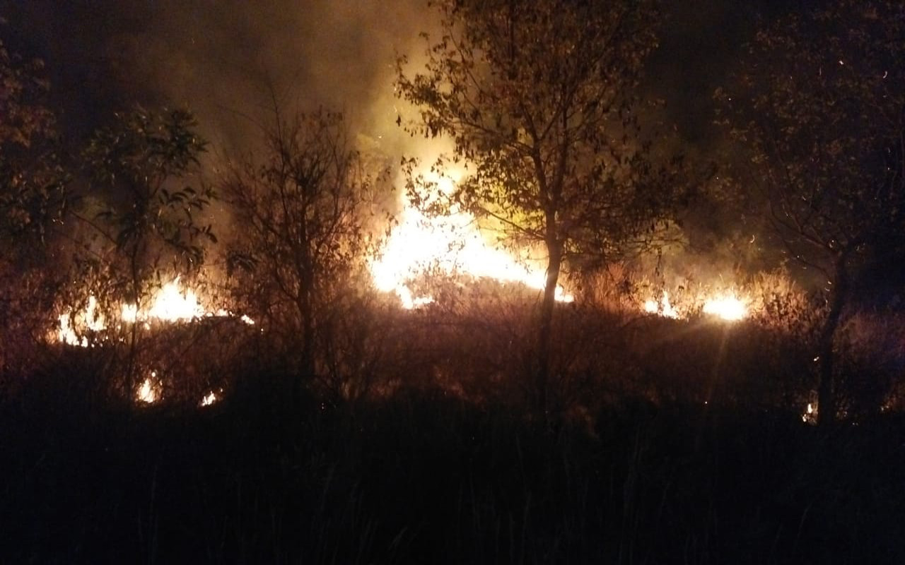 Jharkhand Breaking News: दुमका के गोडमाला गांव में 11 हाथियों के झुंड ने डाला डेरा, फसलों को किया नष्ट