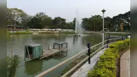 गांडेय प्रमुख ने किया धन्वंतरी होड़ोपैथिक इको पार्क का निरीक्षण