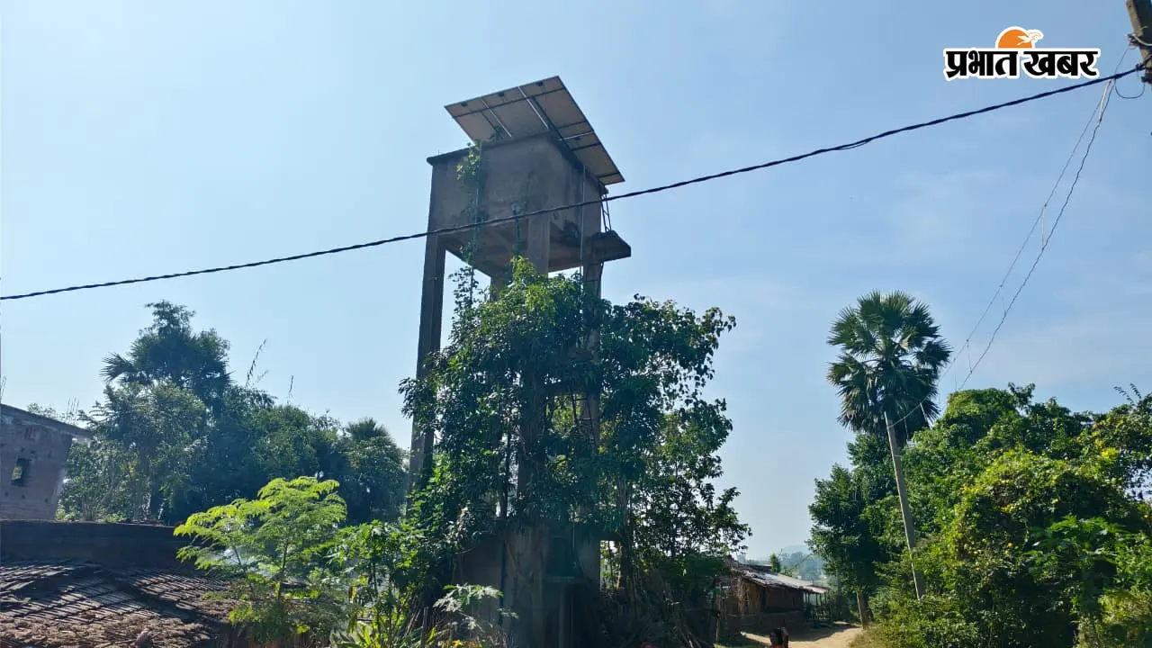 लाखों की सोलर जलमीनार बनी मवेशियों की गौशाला, बोरियो के चासगामा-सोसोटाला में पेयजल योजना की खुली पोल
